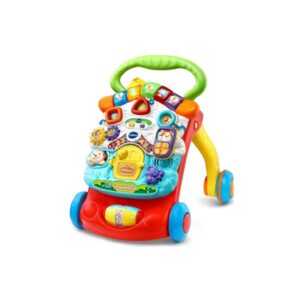 Vtech Stroll & Discover Activity Walker
