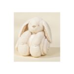 Rabbit Blanket Set