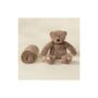 Baby Plush Toy & Blanket Set - Bear Blanket Set