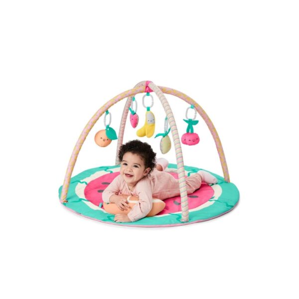 Carter's Fruity Fun Play Gym