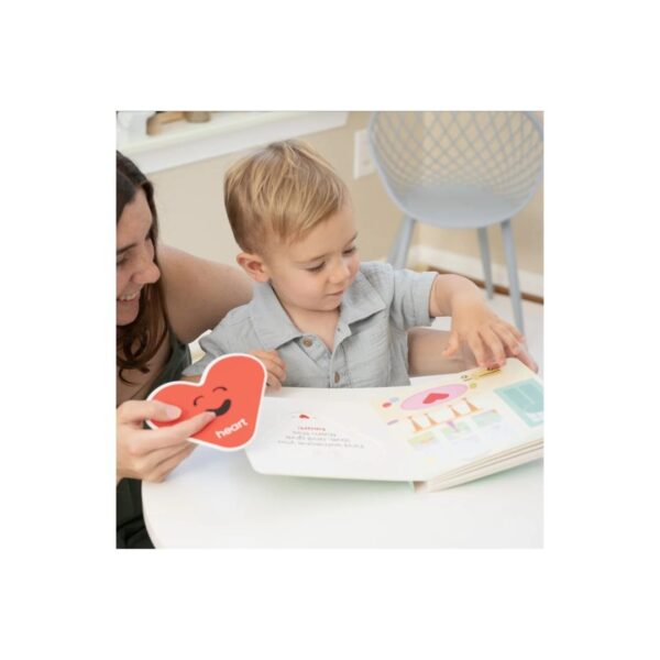 Zoy Books "Shapes Are Everywhere" - Image 3