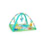 Bright Starts Wild Wiggles Foldaway Activity Gym